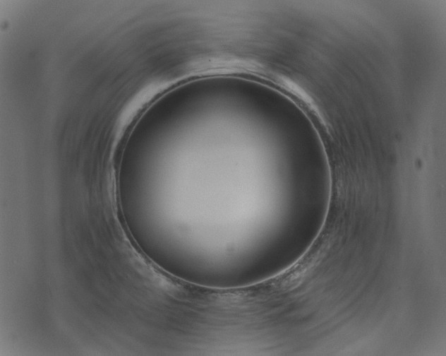 X0000076411472200610061127