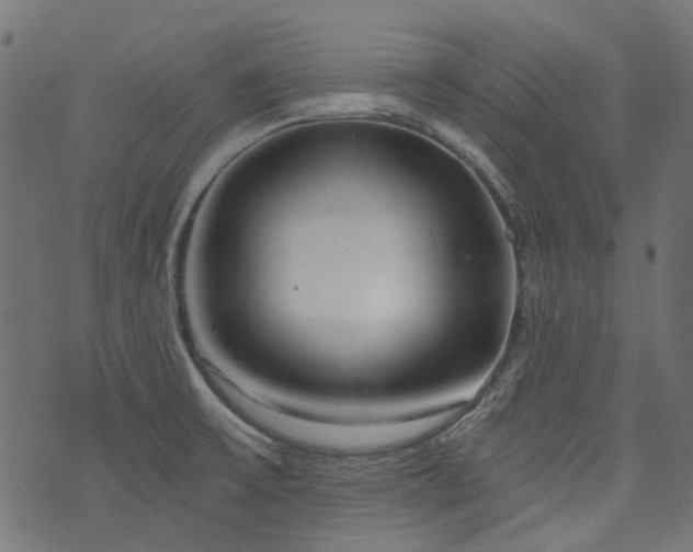 X0000076411475200610061127