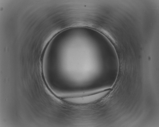 X0000076411476200610061127