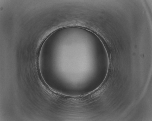 X0000076411500200610061126