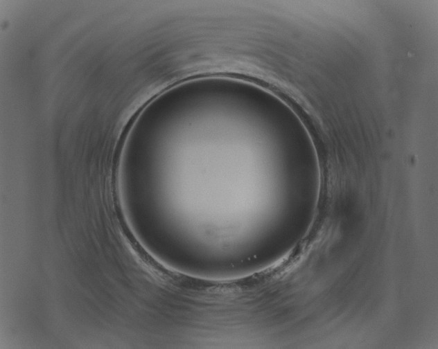 X0000076411513200610061126