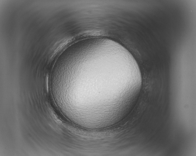 X0000076410014200610161112