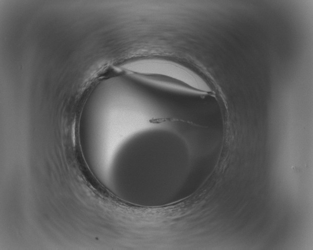 X0000076410019200610161112