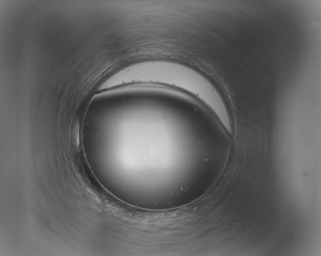 X0000076410021200610161112