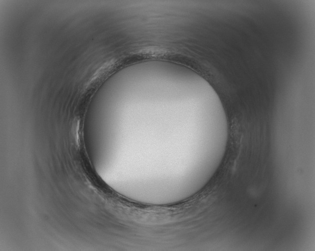 X0000076410024200610161112
