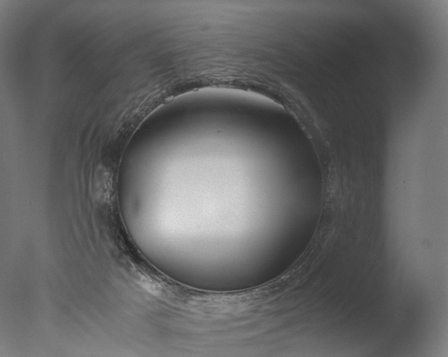 X0000076410025200610161112