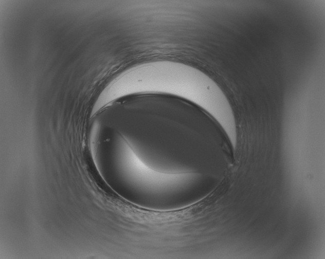 X0000076410031200610161112