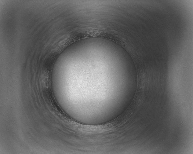 X0000076410034200610161112