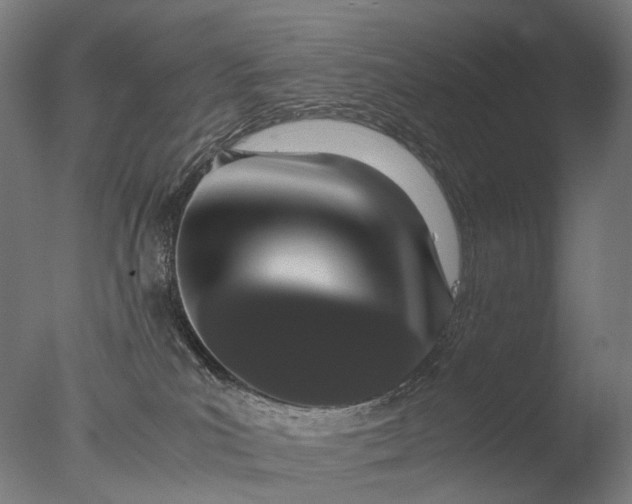 X0000076410039200610161112