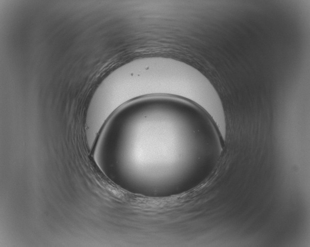 X0000076410045200610161112