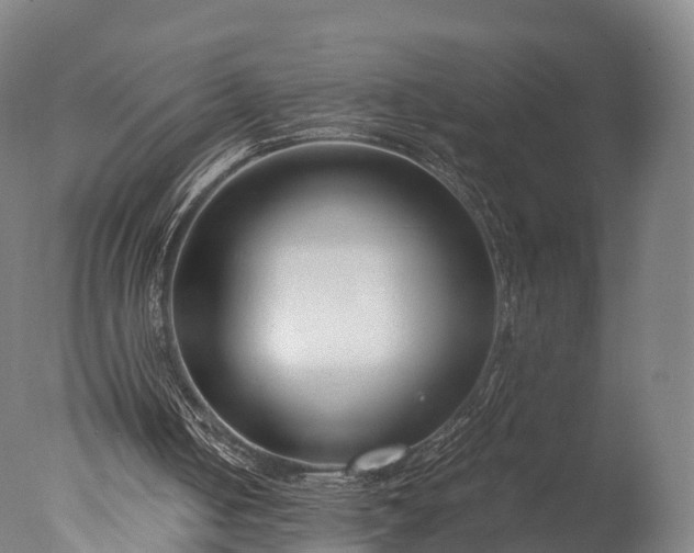 X0000076410050200610161111