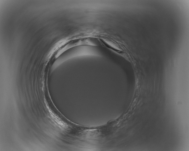 X0000076410054200610161111