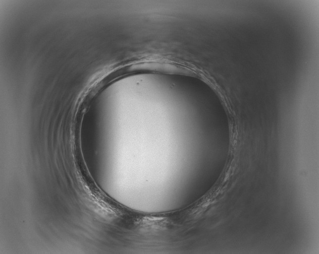 X0000076410055200610161111