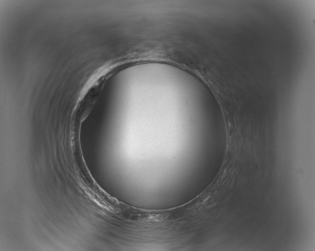 X0000076410056200610161111