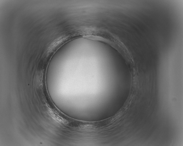 X0000076410058200610161111