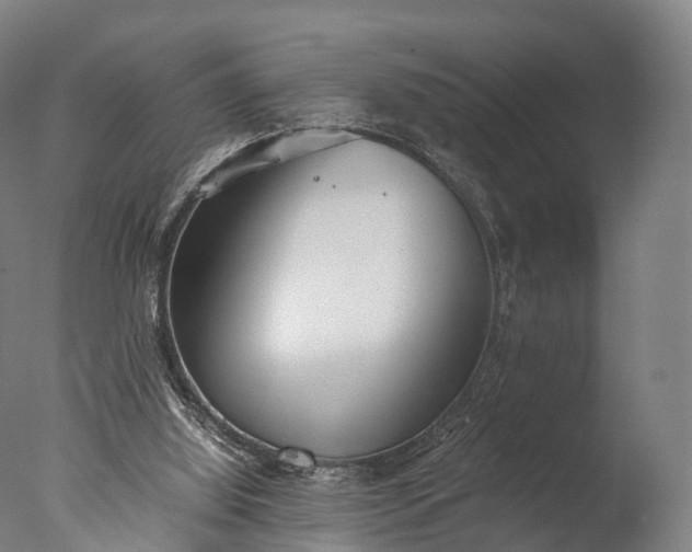 X0000076410060200610161111