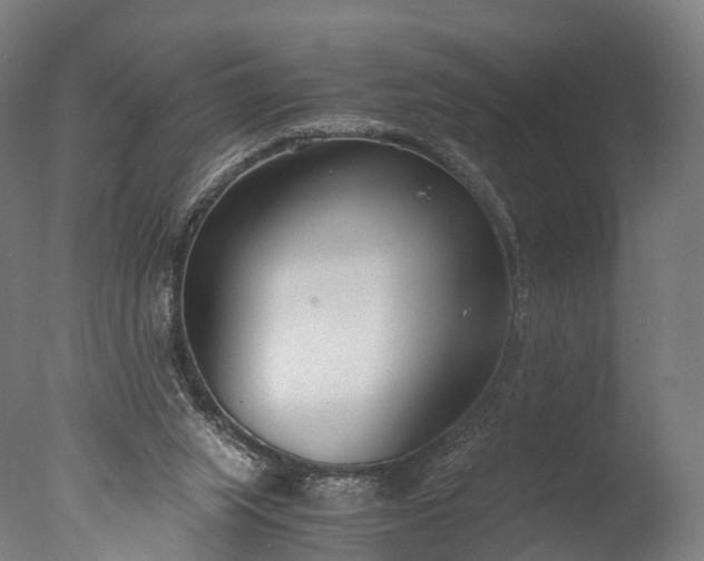 X0000076410063200610161111