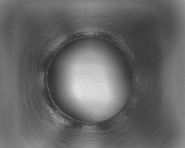 X0000076410066200610161111