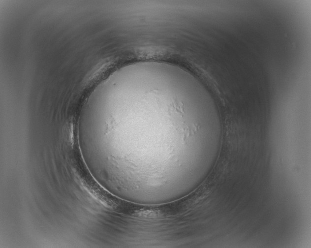 X0000076410067200610161111