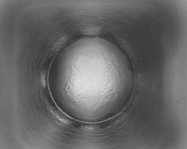 X0000076410069200610161111