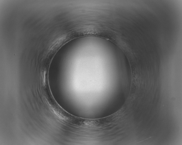 X0000076410070200610161111