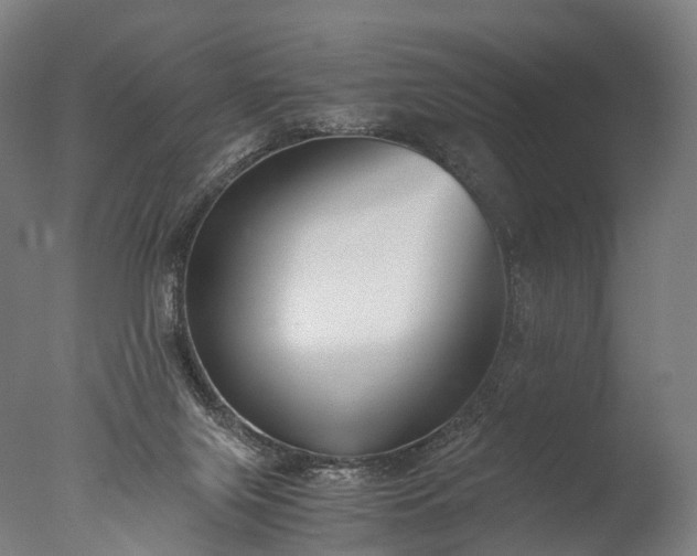 X0000076410071200610161111