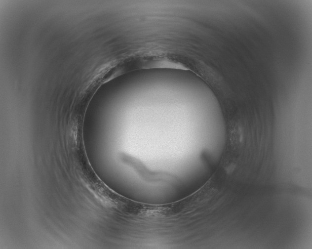 X0000076410072200610161111