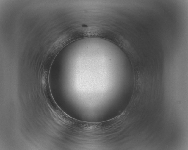 X0000076410074200610161111