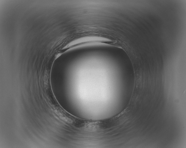 X0000076410078200610161111