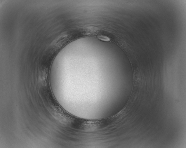 X0000076410082200610161112