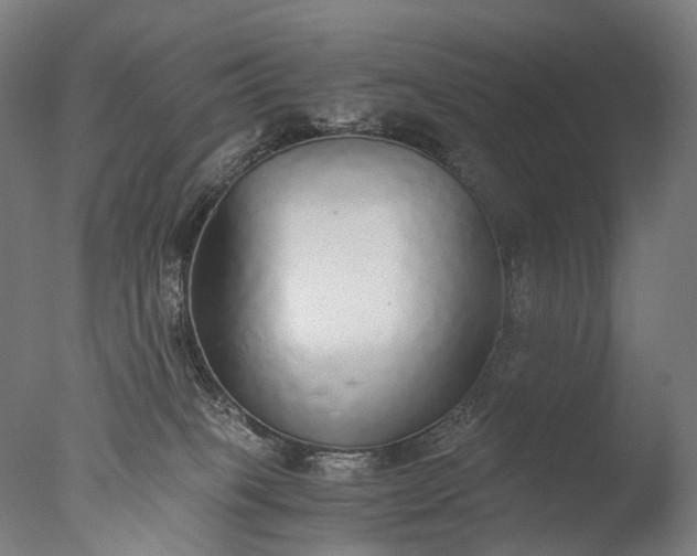 X0000076410085200610161112