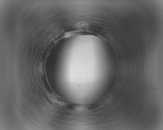 X0000076410088200610161112
