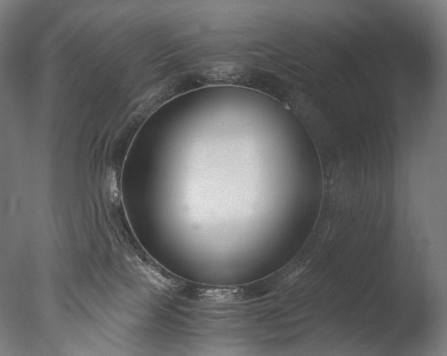X0000076410089200610161112
