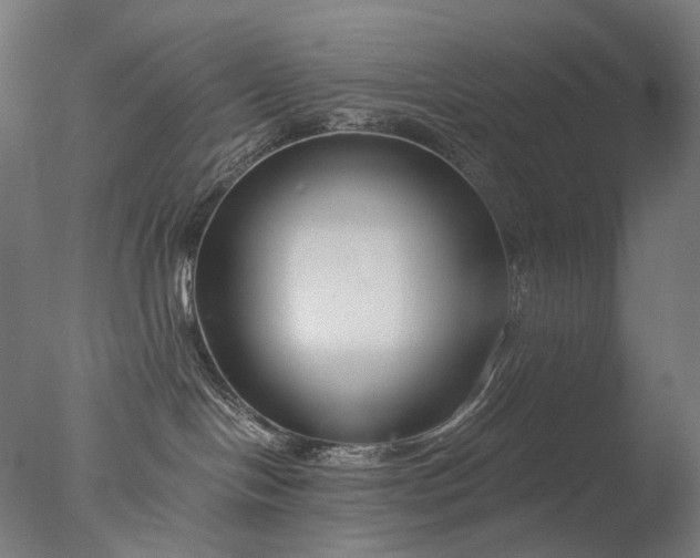X0000076410094200610161112