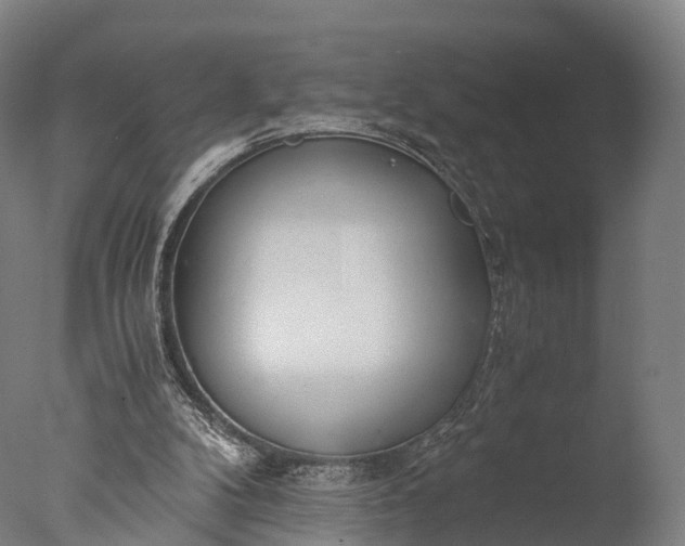 X0000076410104200610161111