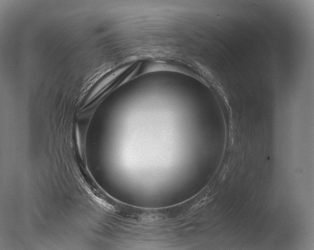 X0000076410105200610161111