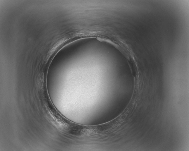 X0000076410107200610161111