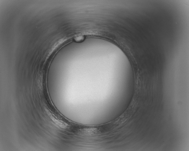 X0000076410108200610161111