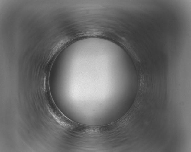 X0000076410110200610161111