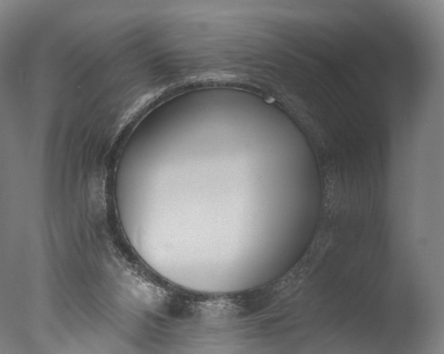 X0000076410112200610161111
