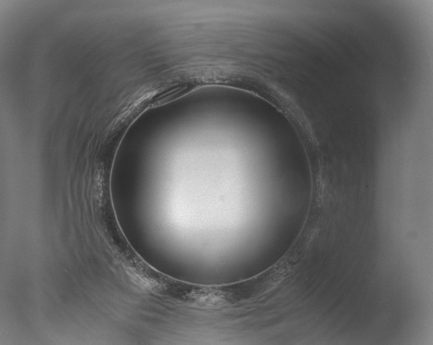 X0000076410113200610161111