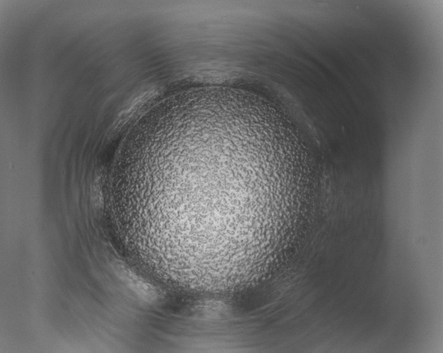 X0000076410114200610161111