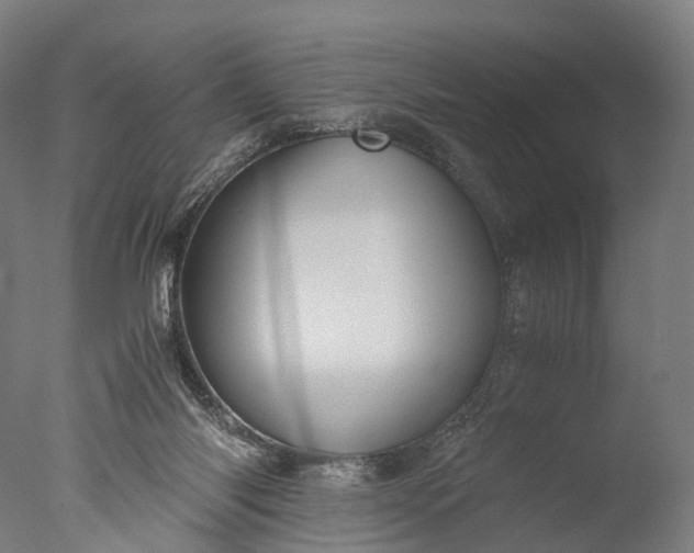 X0000076410118200610161111