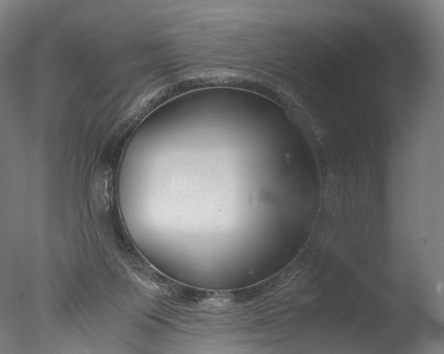 X0000076410119200610161111