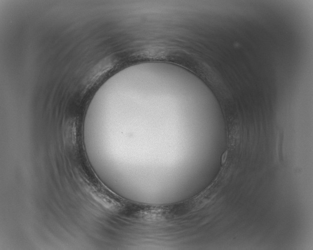 X0000076410120200610161111