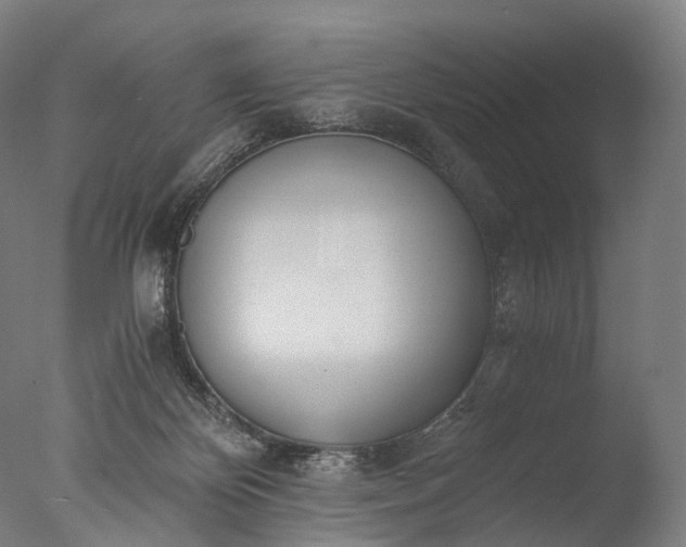 X0000076410124200610161111