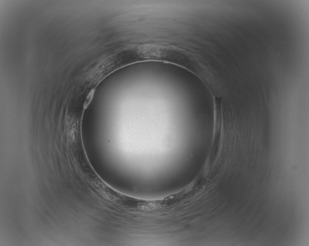 X0000076410125200610161111