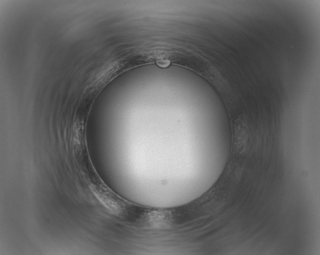 X0000076410126200610161110