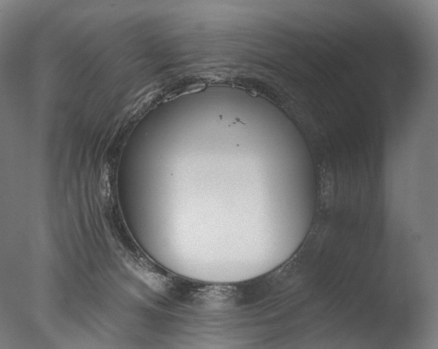 X0000076410128200610161110