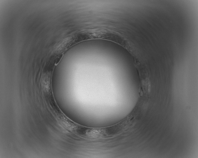 X0000076410129200610161110